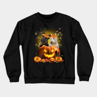 Scottish Terriers Spooky Halloween Pumpkin Dog Head Crewneck Sweatshirt